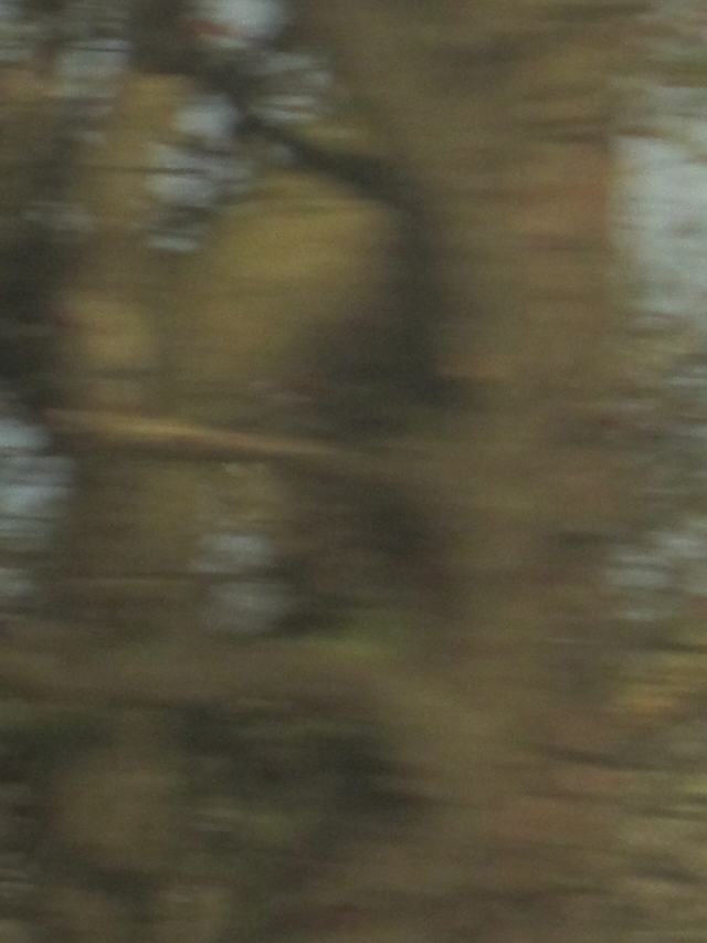 Aus dem fahrenden Auto, 1 of 21