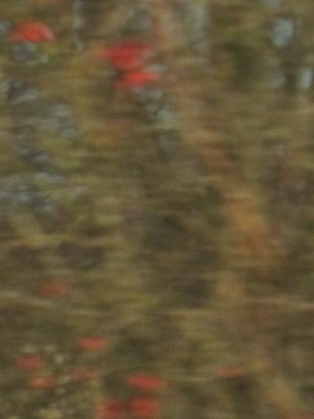 Aus dem fahrenden Auto, 19 of 21