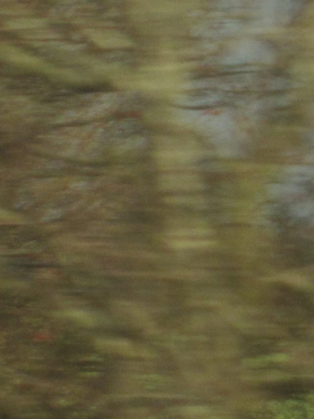 Aus dem fahrenden Auto, 9 of 21
